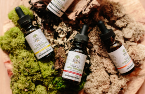 CBD oi