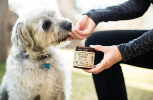 dog treats